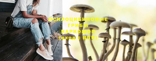 герыч Алзамай