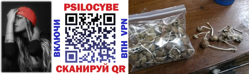 Галлюциногенные грибы мицелий  где найти наркотики  Балашов 